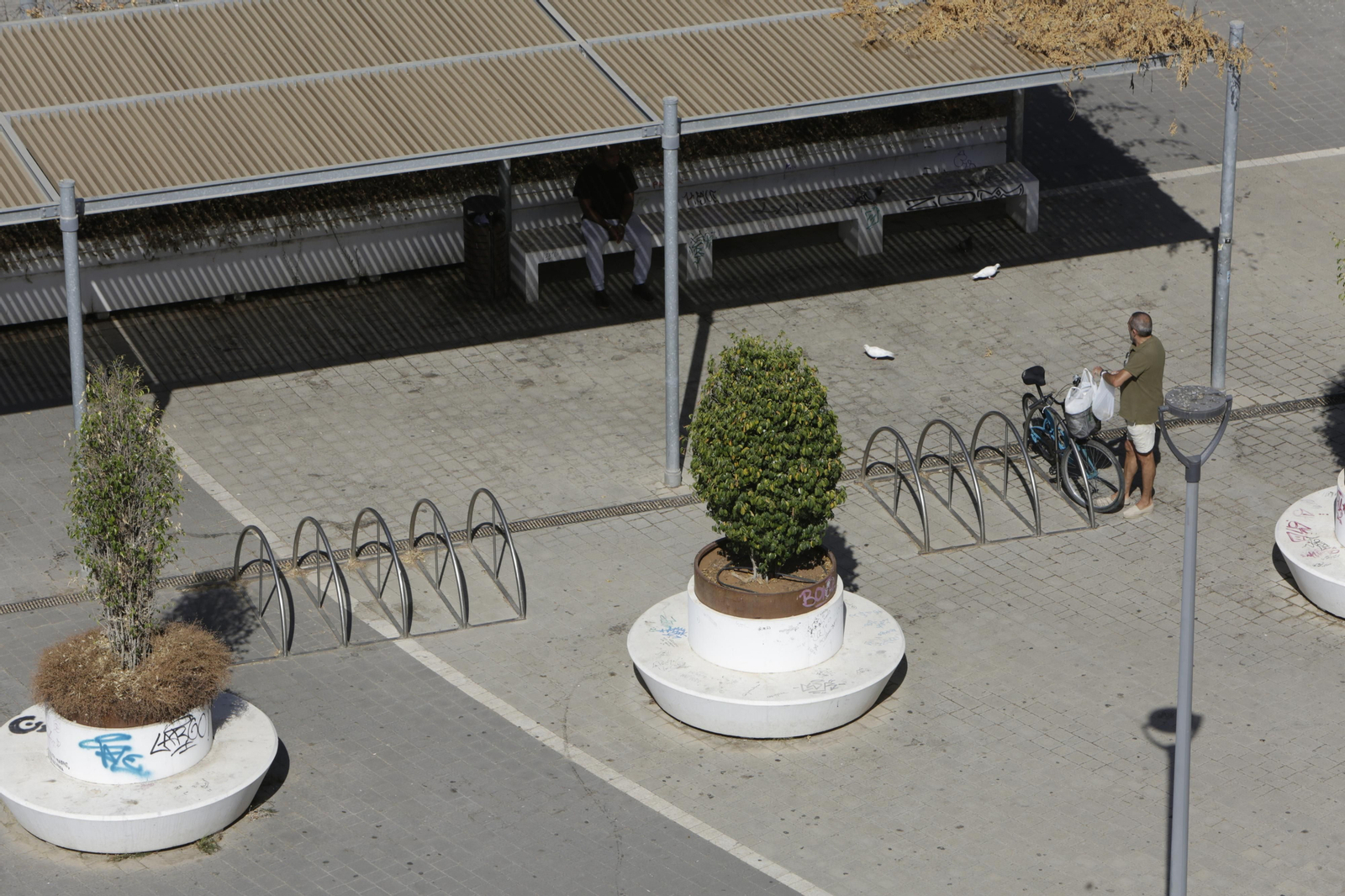 Abandono y mal estado de la plaza entre Mercadona y Plaza de Armas