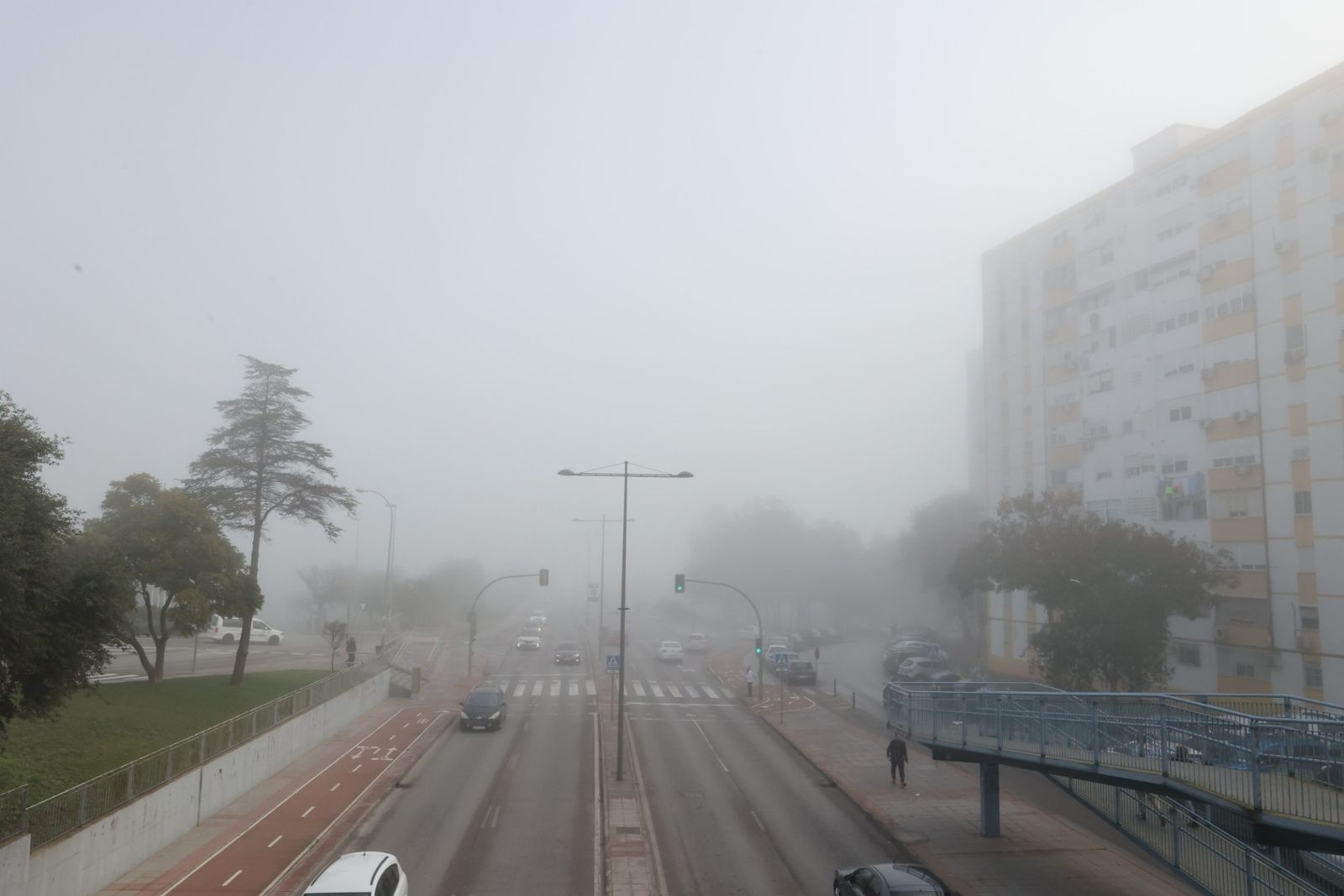 Densa niebla en Jerez