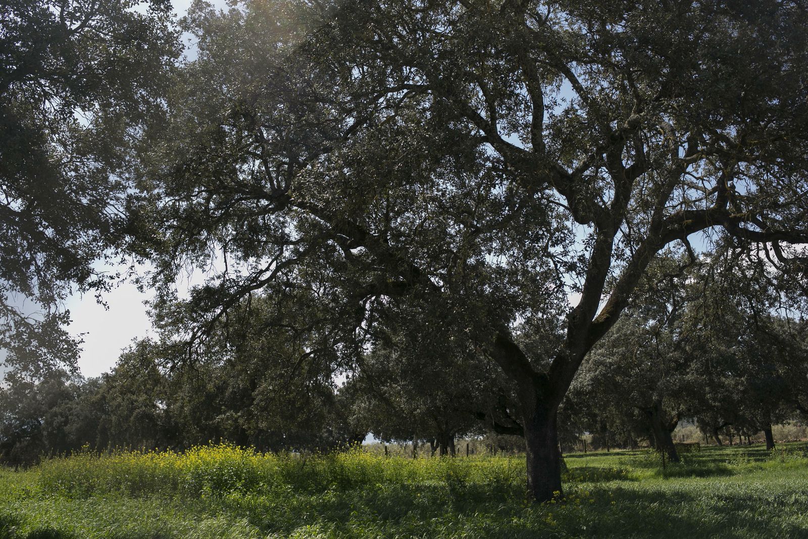 La primavera deja ver su paleta de color