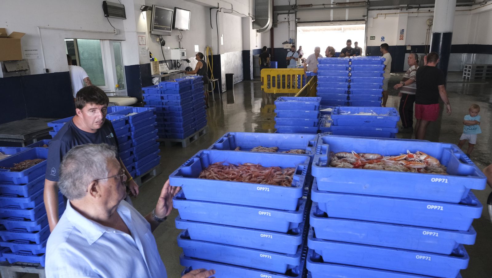 Imágenes de la visita guiada a la Lonja del Puerto Pesquero de Almería