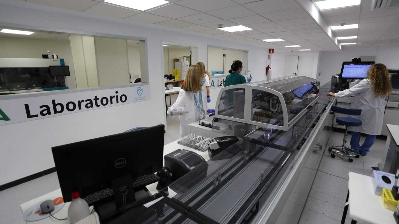 Profesionales, este lunes, trabajando en el laboratorio.