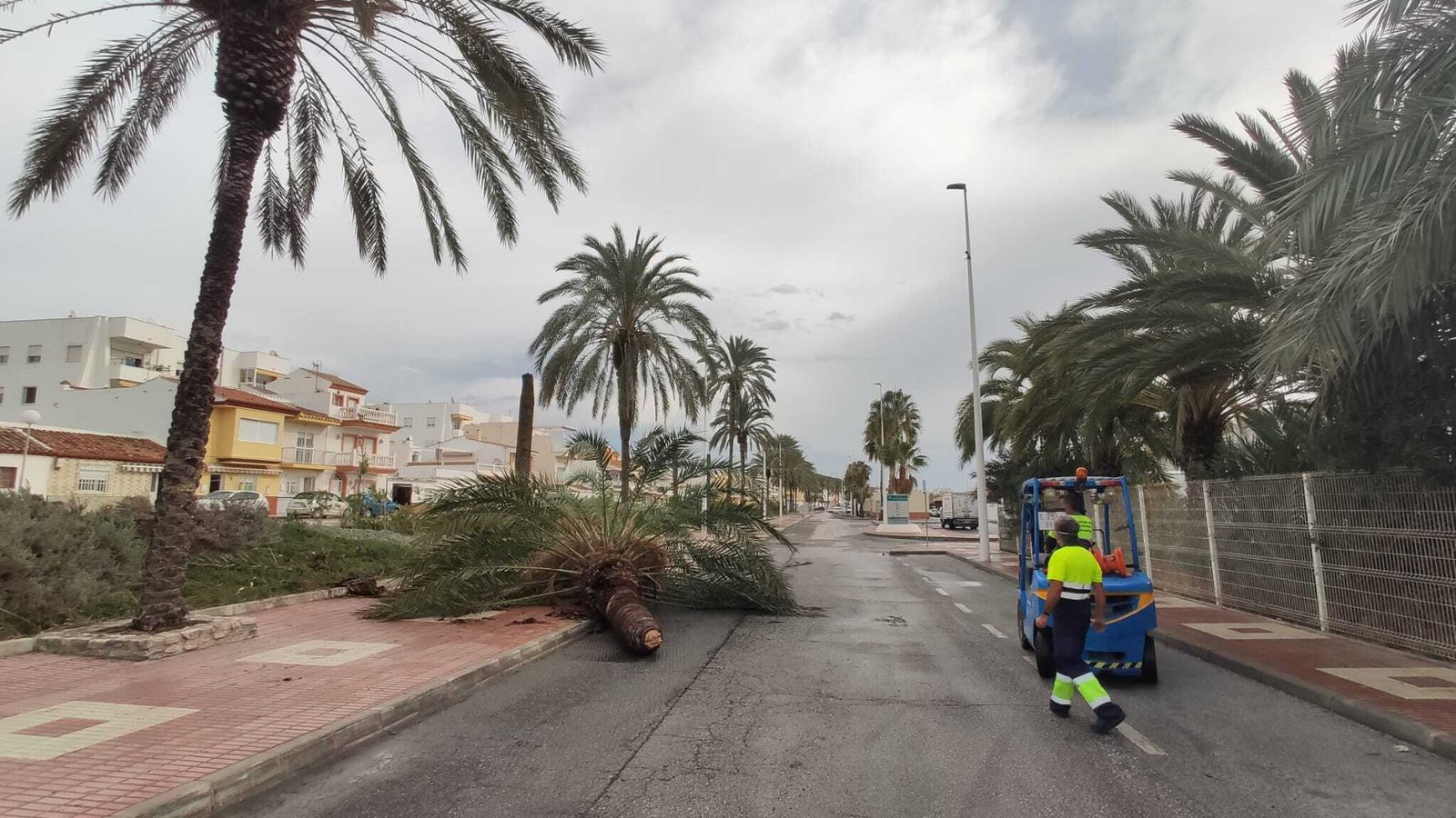 El temporal de lluvia y viento en Málaga