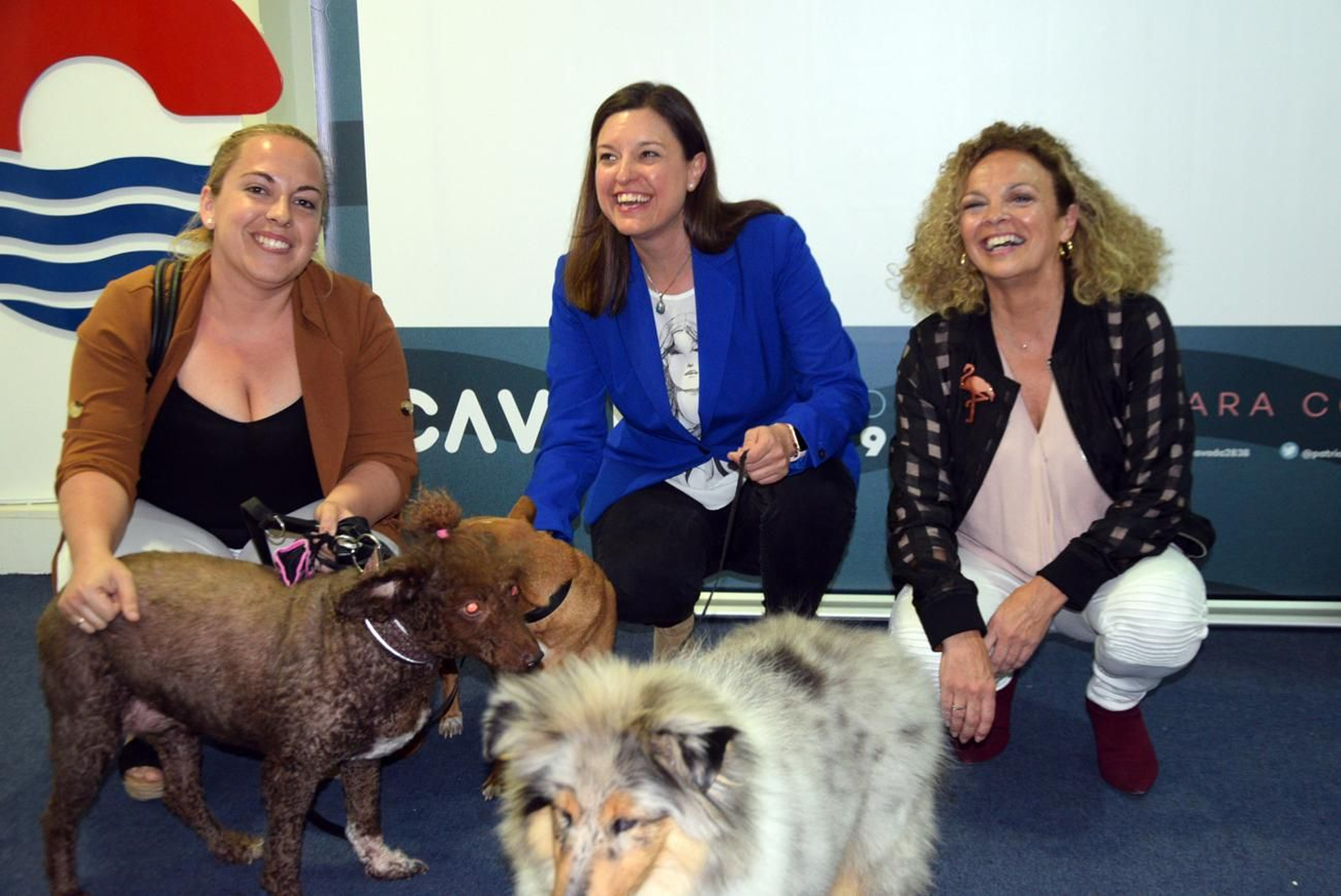 Cavada, en el centro, en el encuentro con colectivos animalistas.