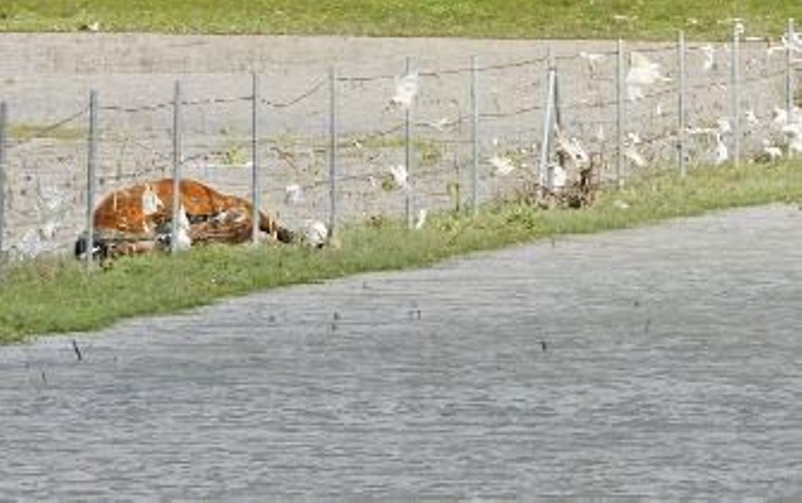 Los empresarios calculan que las lluvias dejan 122 millones de pérdidas