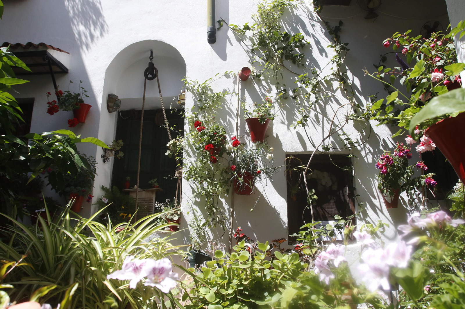 Ruta San Lorenzo de los Patios de Córdoba, en imágenes