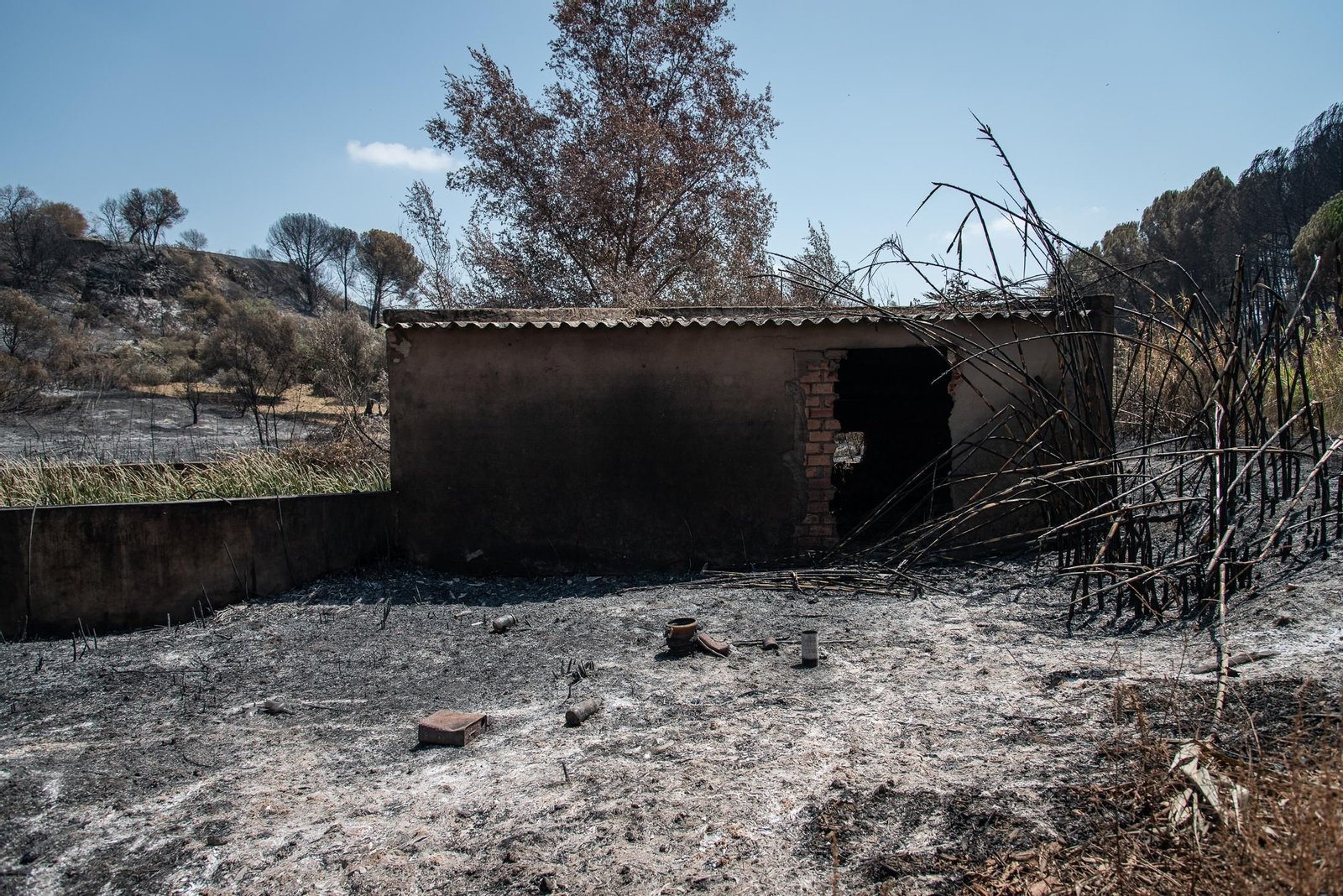 Imágenes de los destrozos causados por el incendio de Lucena del Puerto