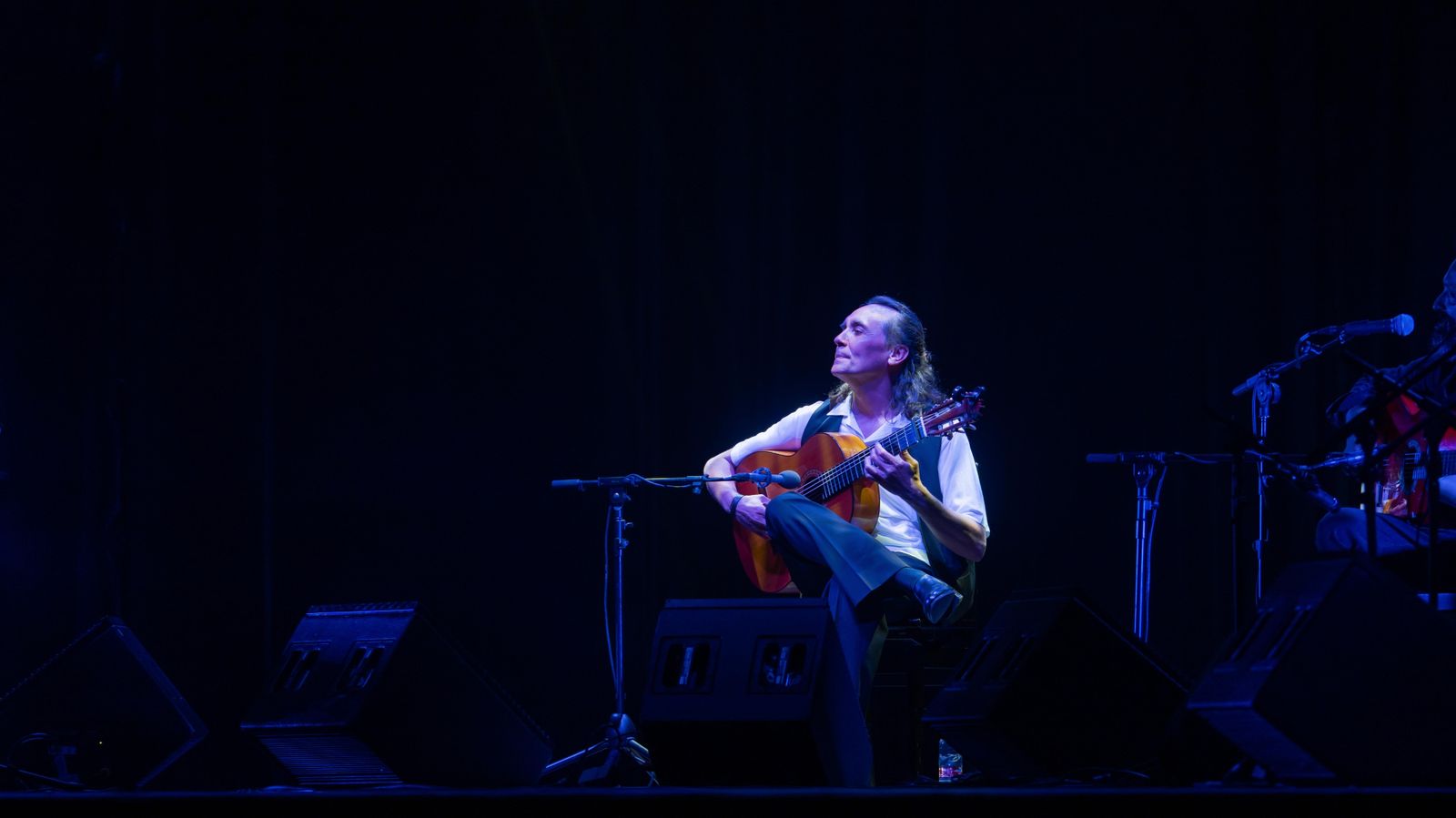 Vicente Amigo en Tío Pepe Festival