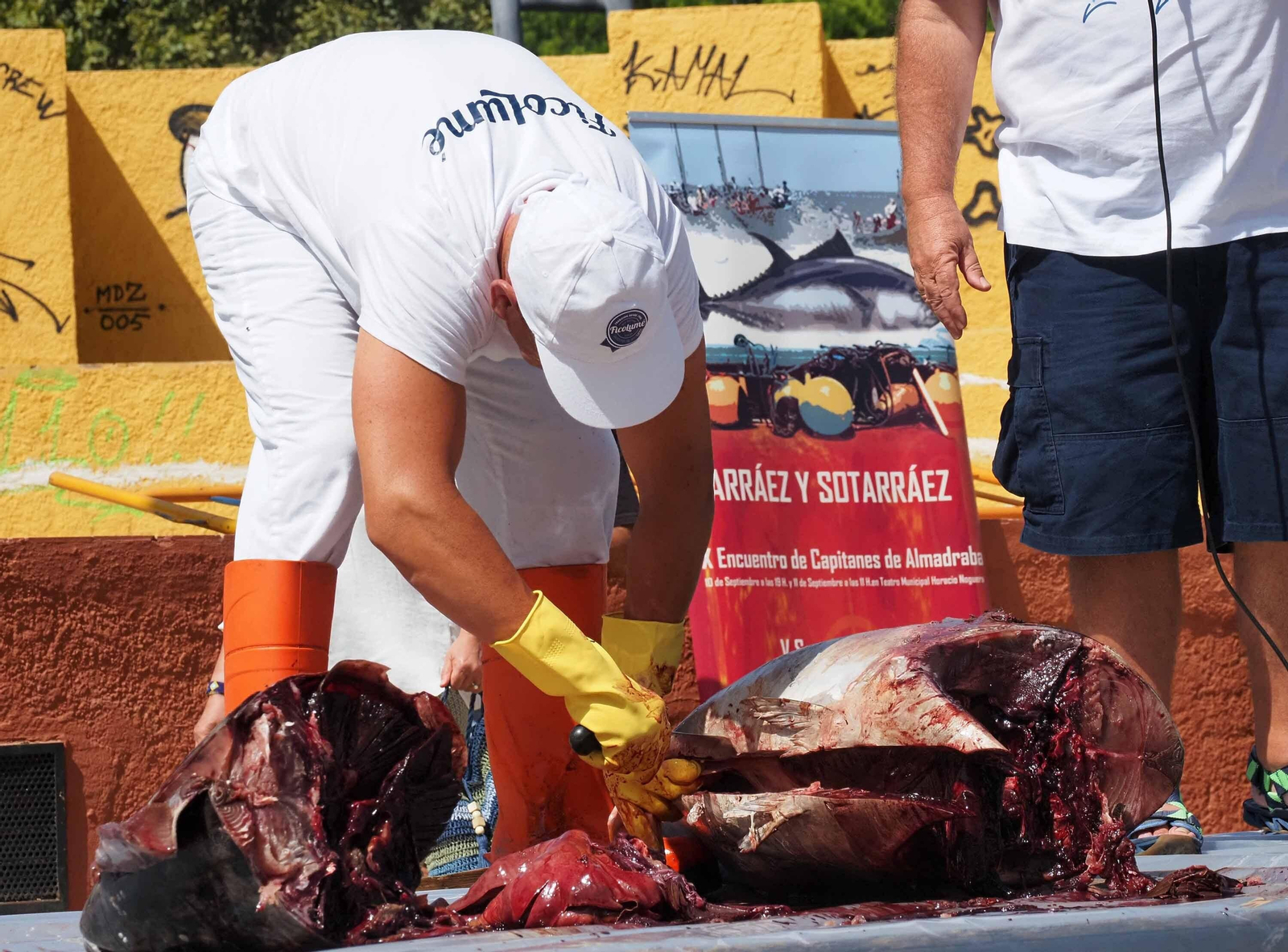 Las espectaculares imágenes del ronqueo de un atún en Isla Cristina