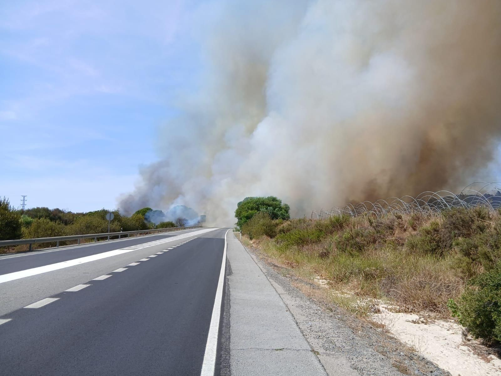 Zona afectada por el incendio en el paraje Arroyo El Colmenar, en Bonares.
