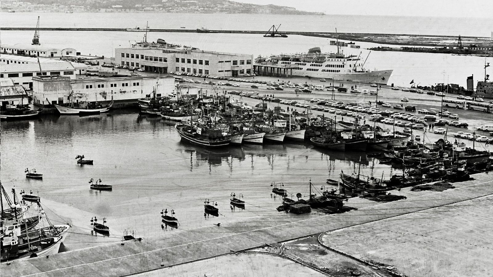 Quillas en la dársena.