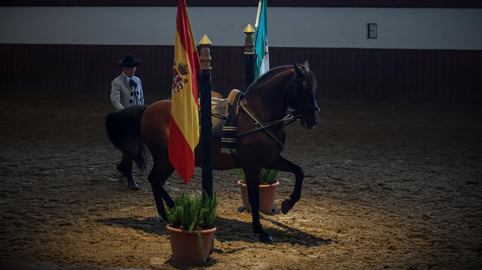 'Día Europeo del Caballo' en la Real Escuela de Jerez