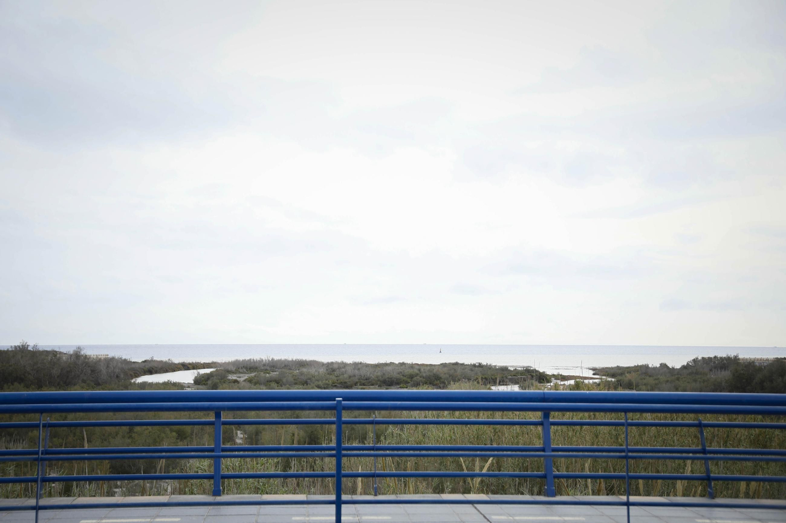 La desembocadura del río Andarax, en imágenes