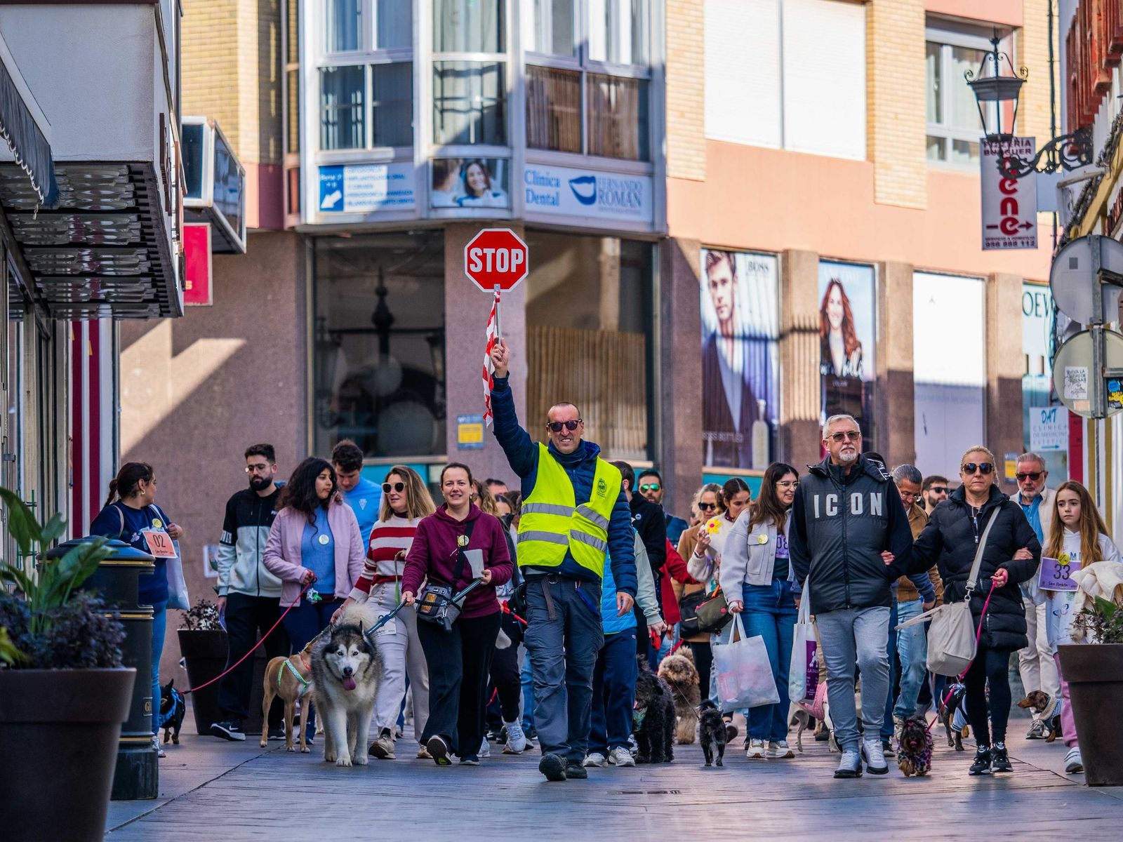 Las imágenes de San Antón 2025 en San Fernando