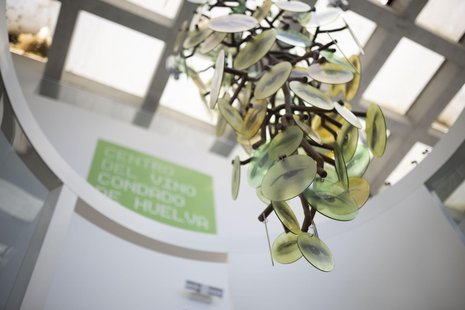 Imágenes de la vendimia en el Condado de Huelva