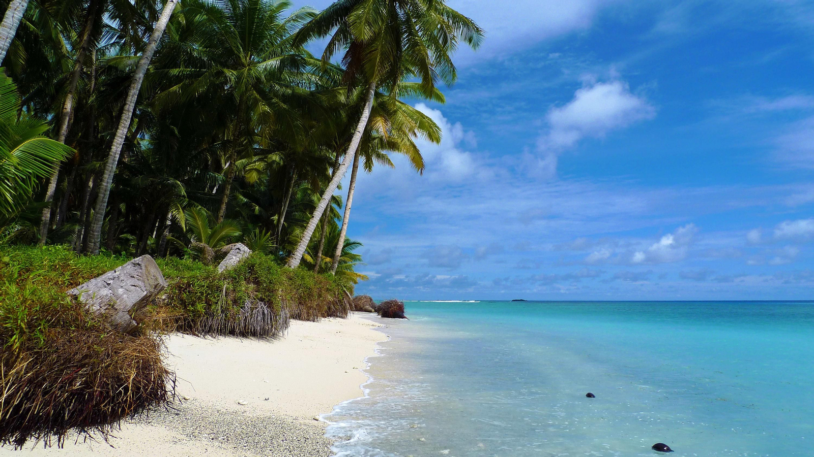 Las aventuras que ofrece Docastaway