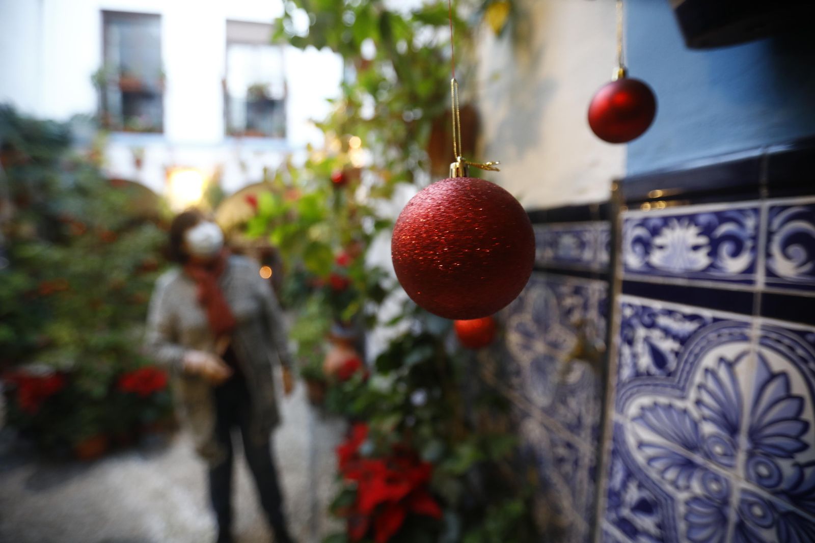 Las fotografías de los Patios de Córdoba en Navidad