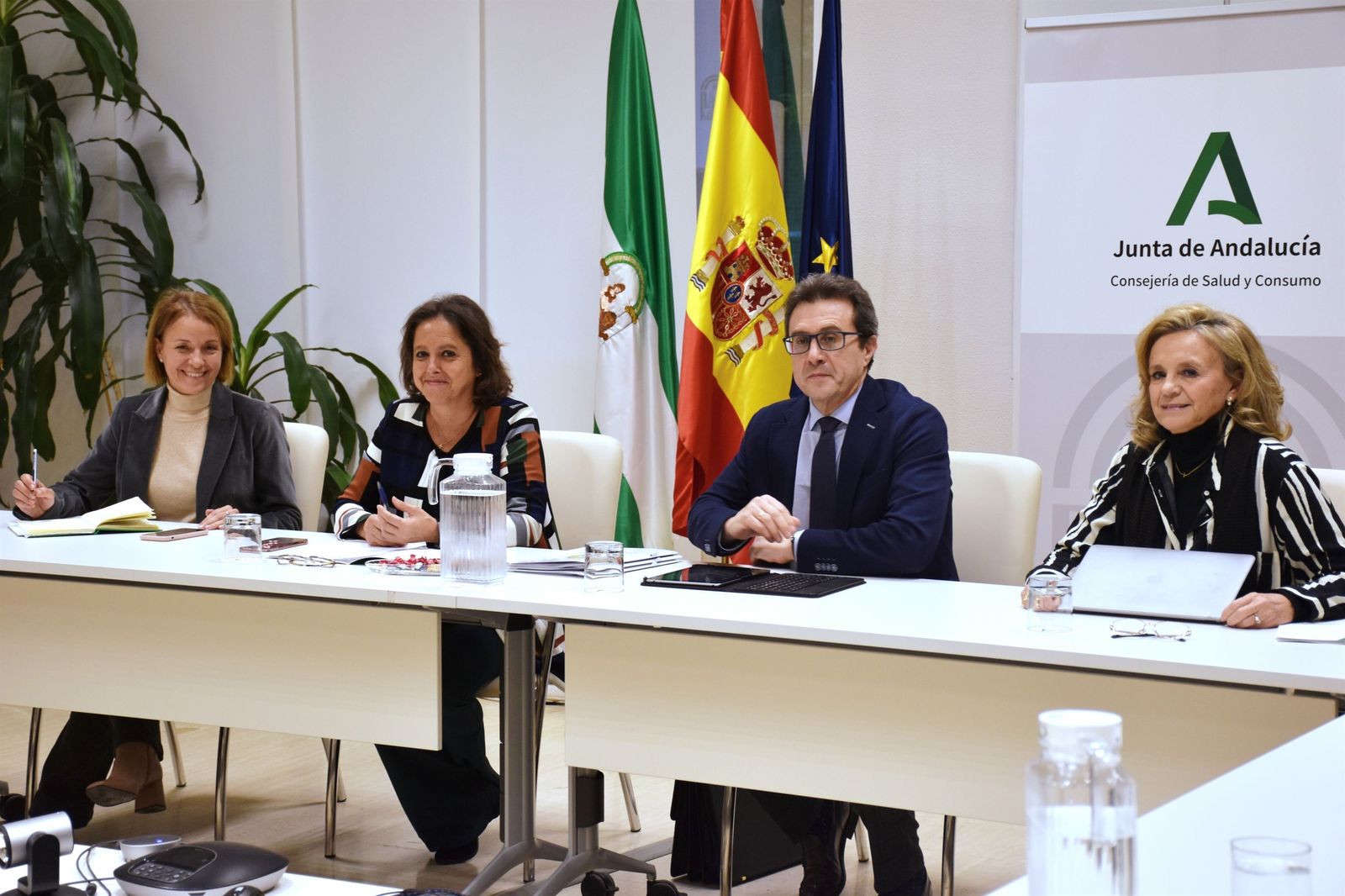 La consejera Catalina García, en la reunión con el Consejo Andaluz de Colegios de Médicos.