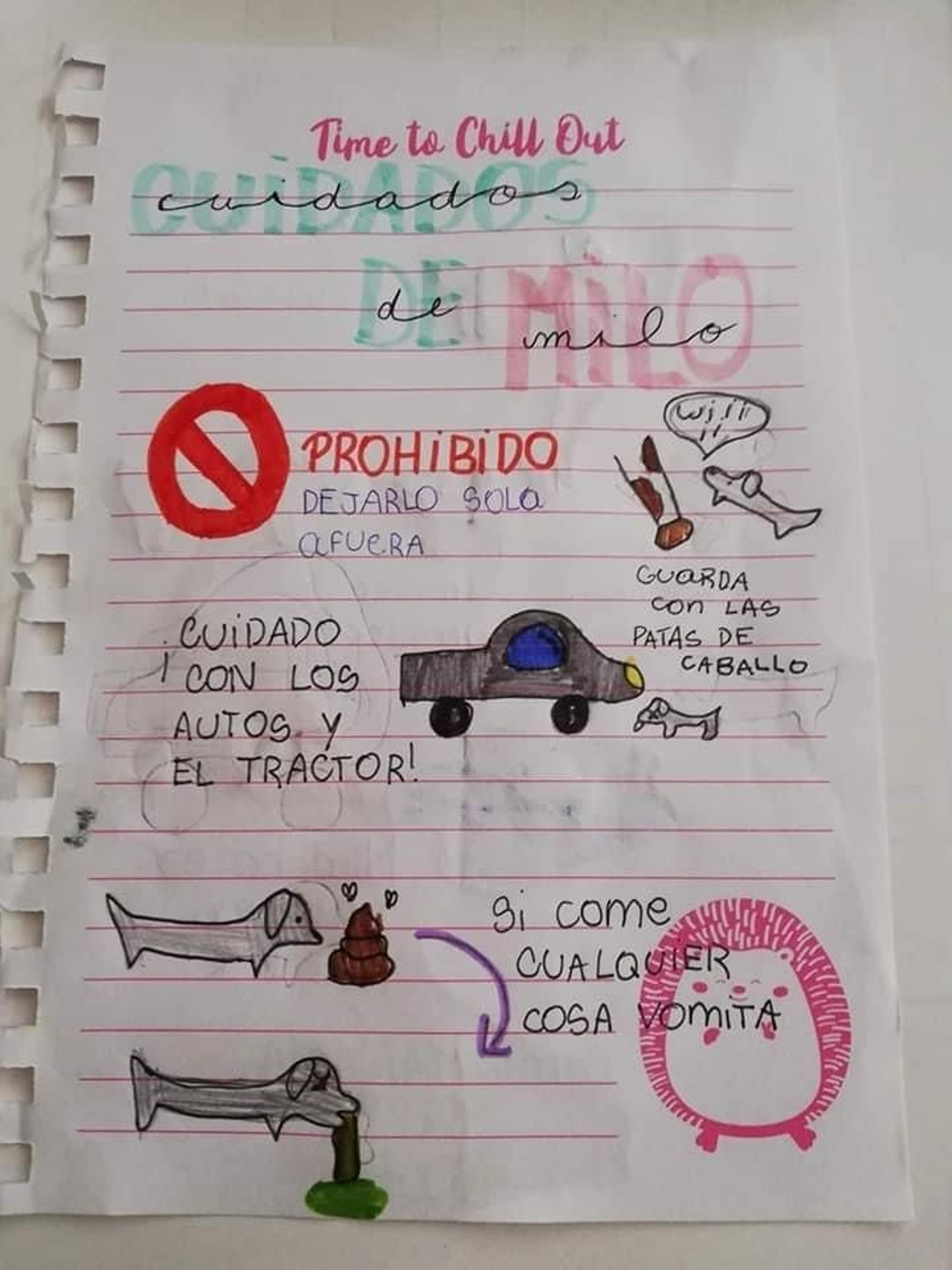 Cuidados de la mascota