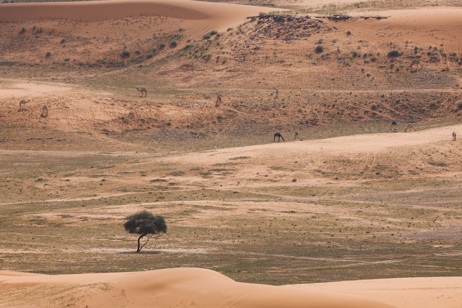 Las mejores fotos de la etapa del Rally Dakar