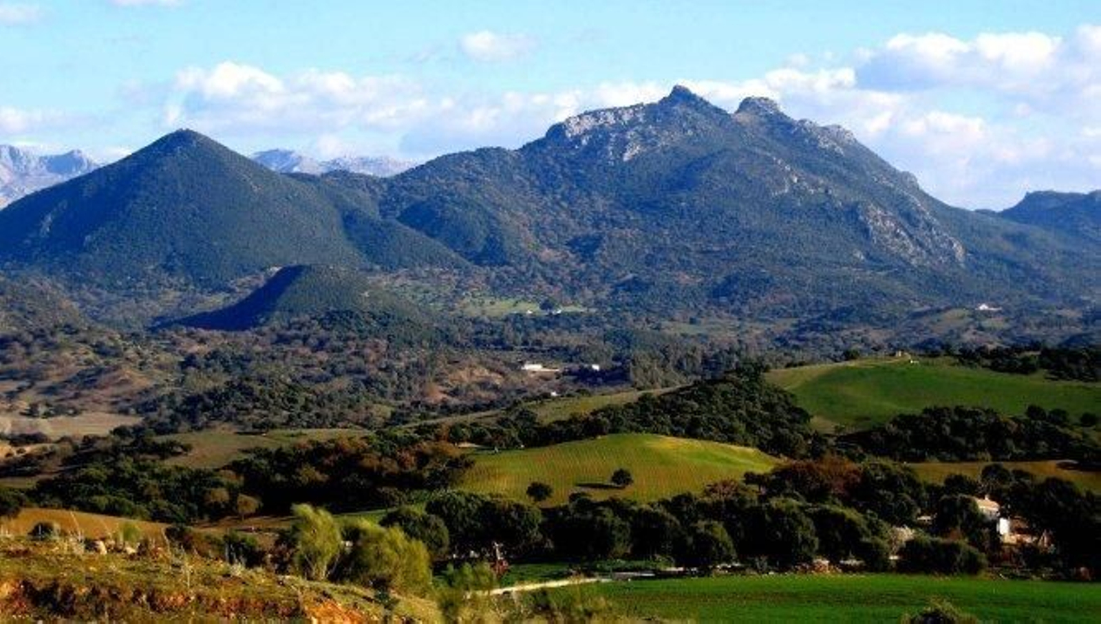 Vista parcial del Parque de Grazalema.
