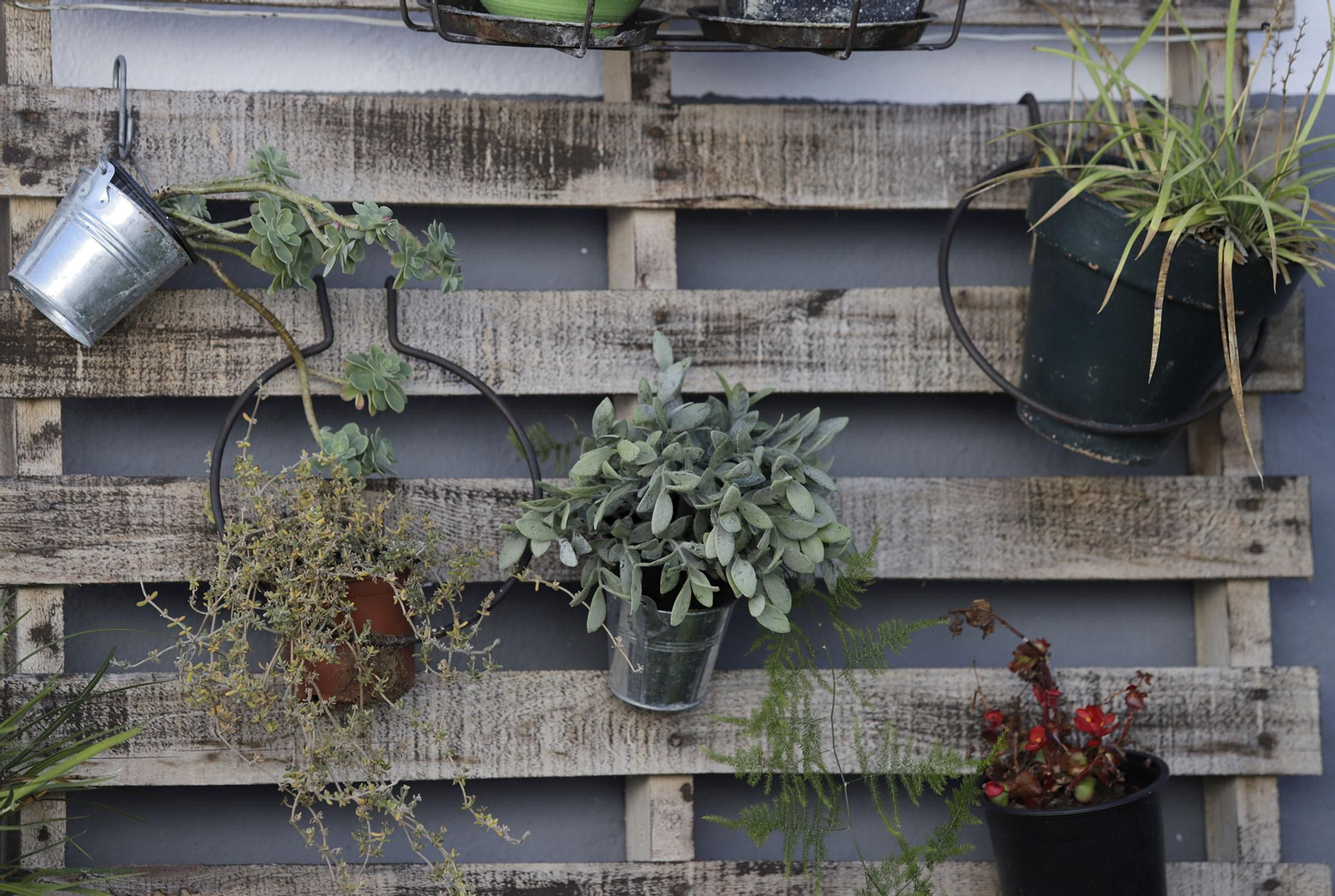 Ruta de Senderismo Charco Malo