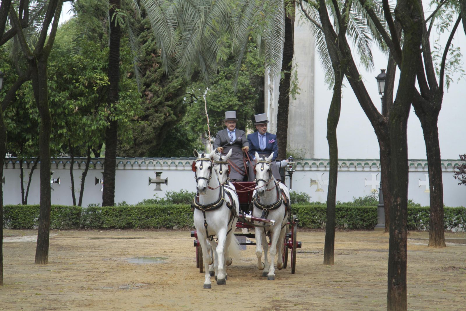 Los mejor del Concurso Internacional de enganches de Sevilla