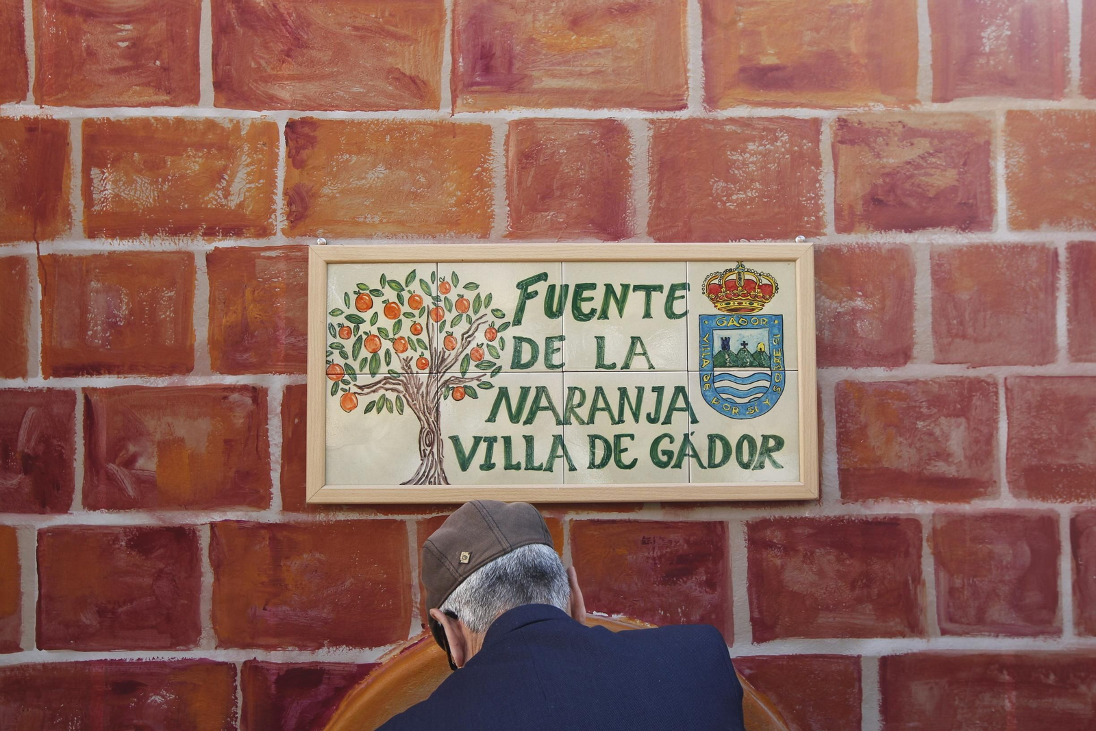 Fotogalería Día de la Naranja en Gádor