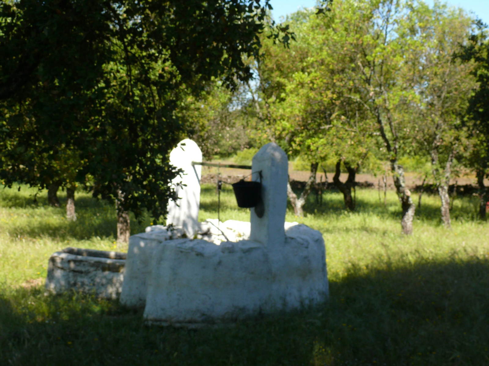Las imágenes de la ruta del Teuler