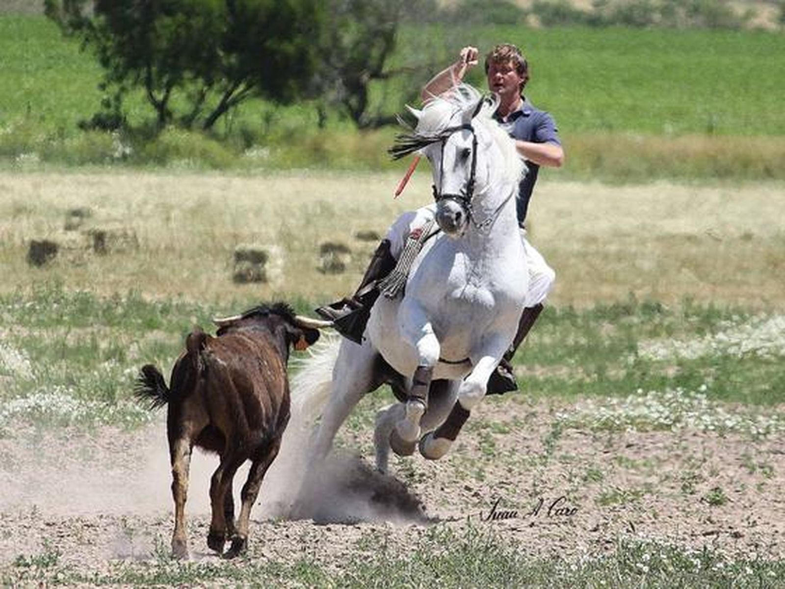 Fermín Bohórquez, en imágenes