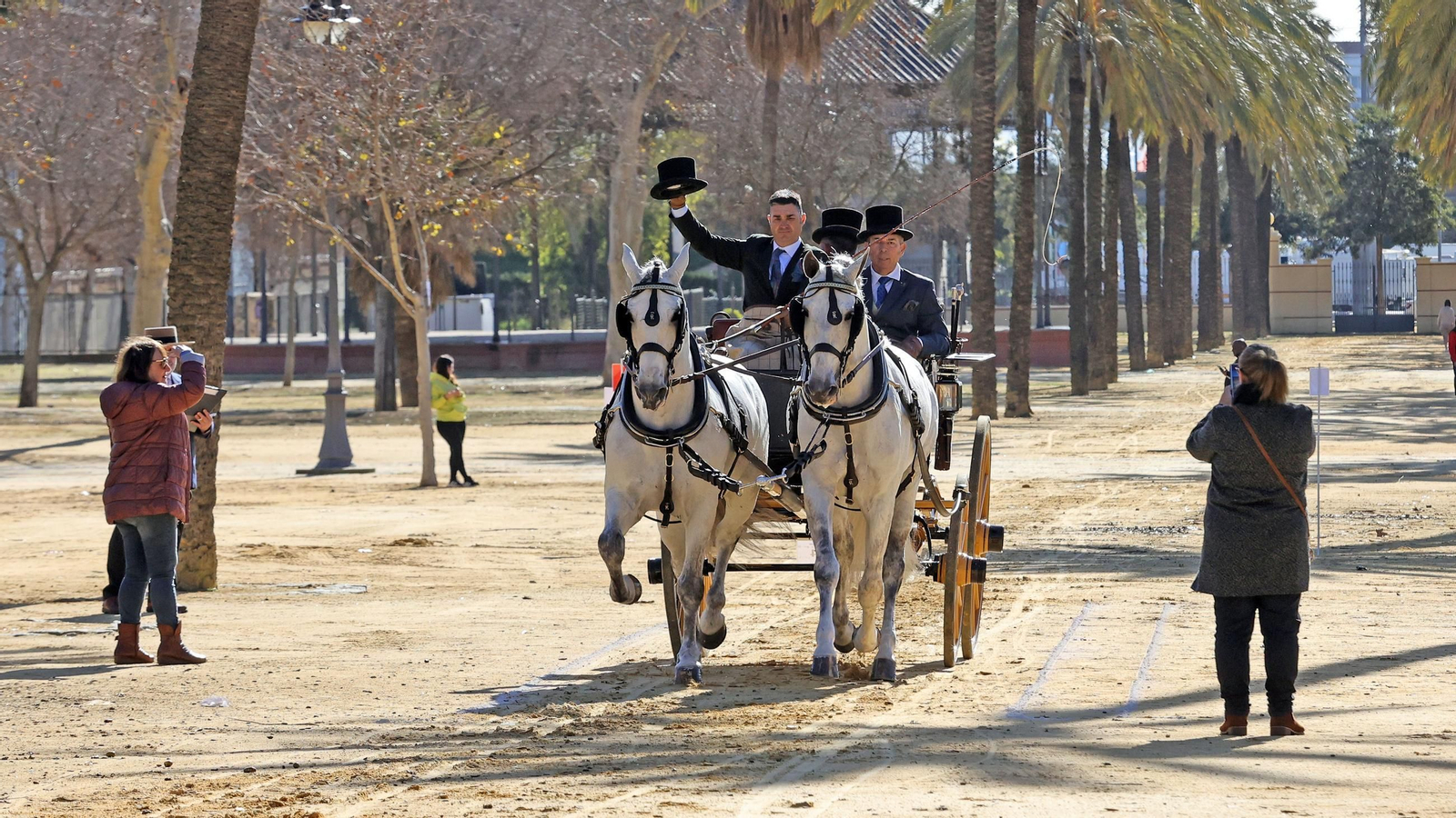 Concurso de enganches por las calles de Jerez