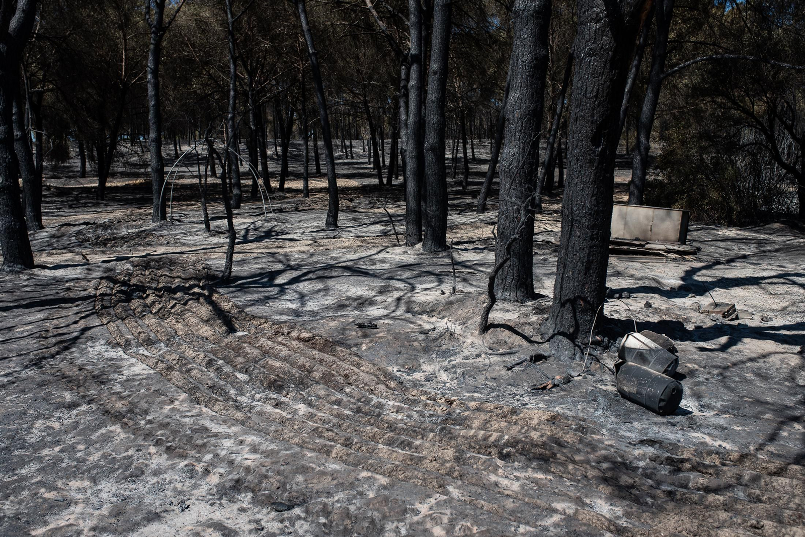 El rastro del incendio de Almonte en imágenes
