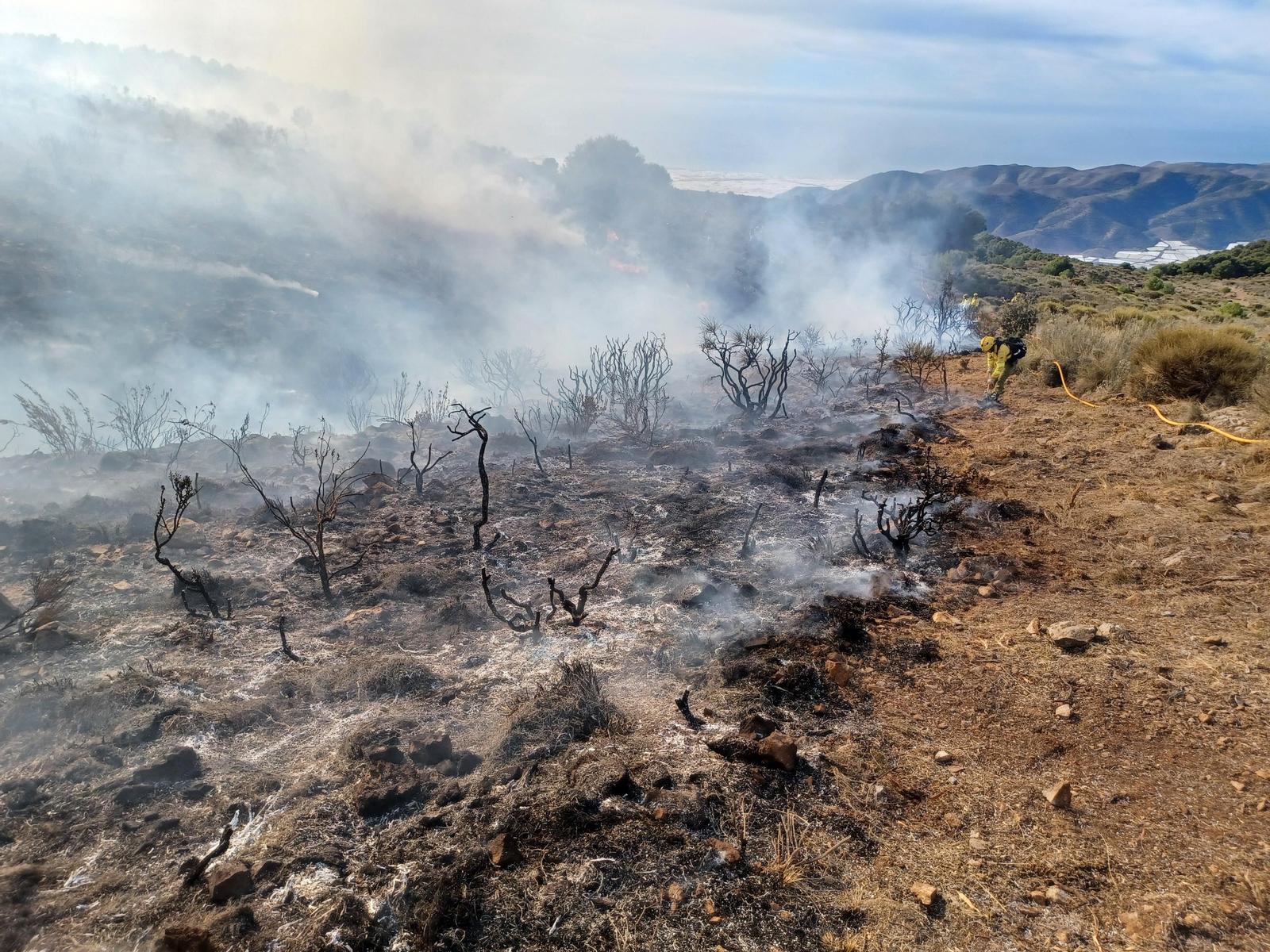 Quema prescrita del Infoca en Cortijo Clavero de Dalías