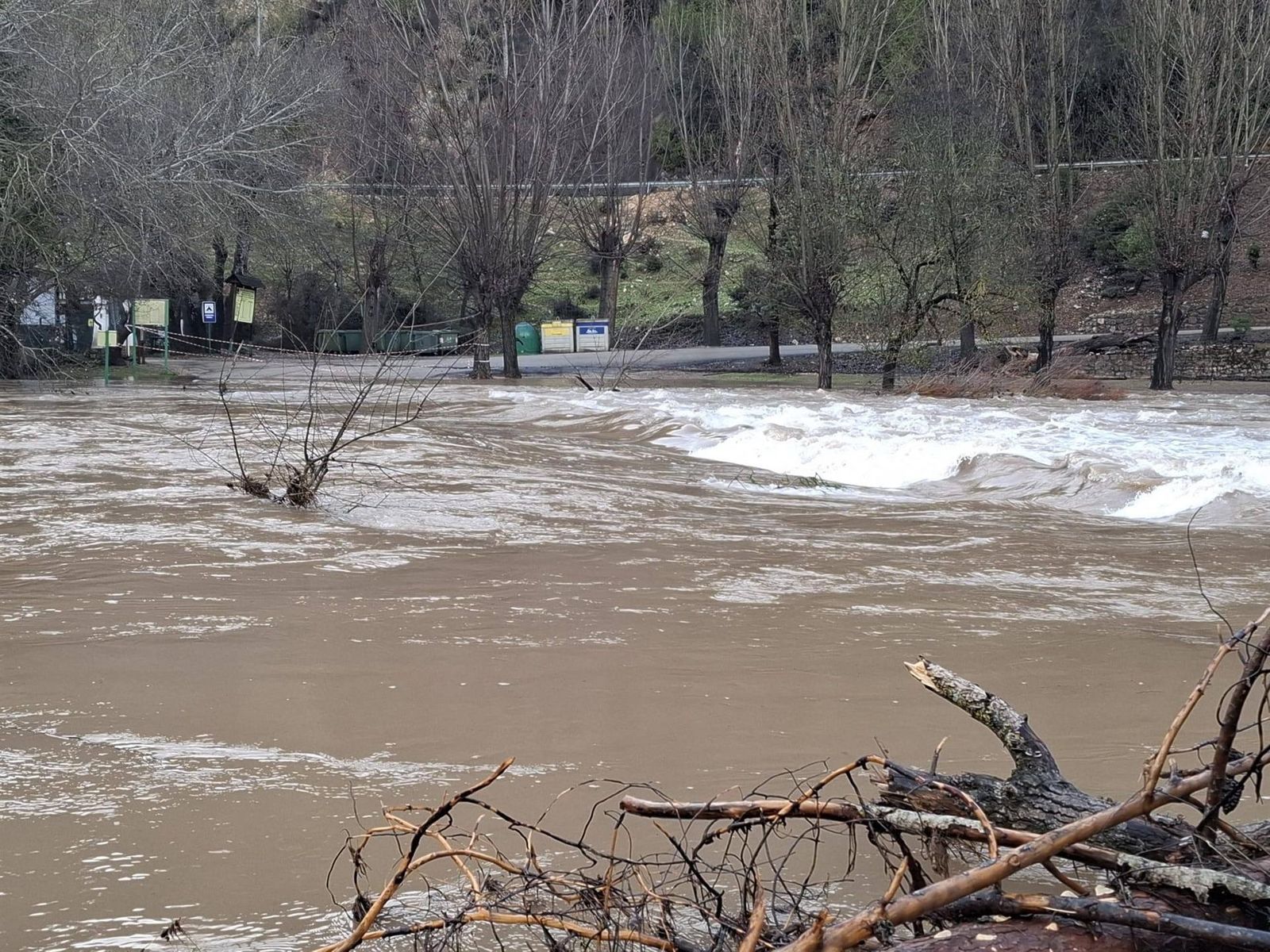 Coto Ríos aislado por el río Guadalquivir.