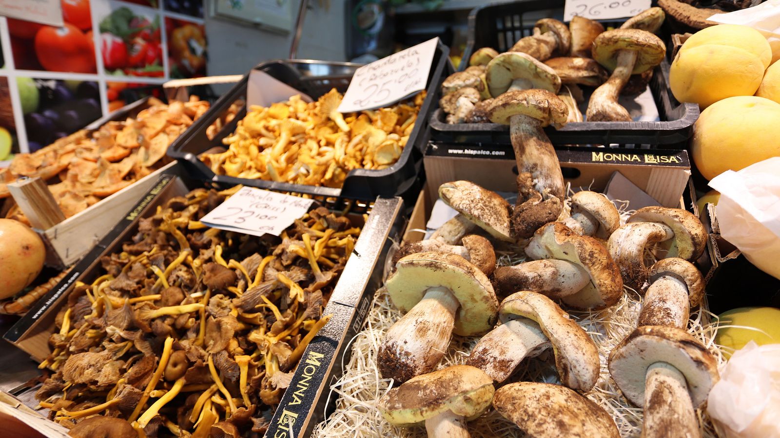 Algunas de las setas  y gurumelos que podemos encontrar y degustar en Huelva