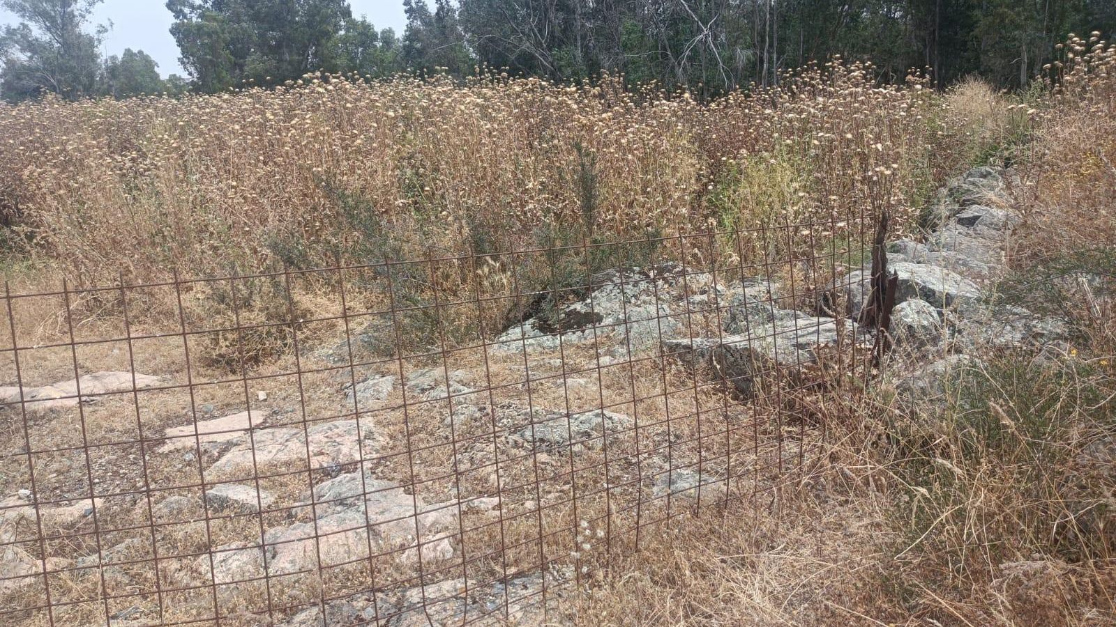 Tendremos que saltar esta valla. Cuidado con los arañazos.