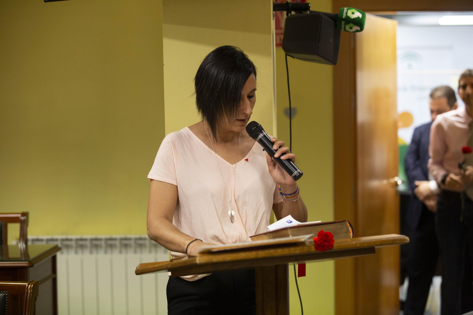 La constitución de los Ayuntamientos de Granada, en imágenes