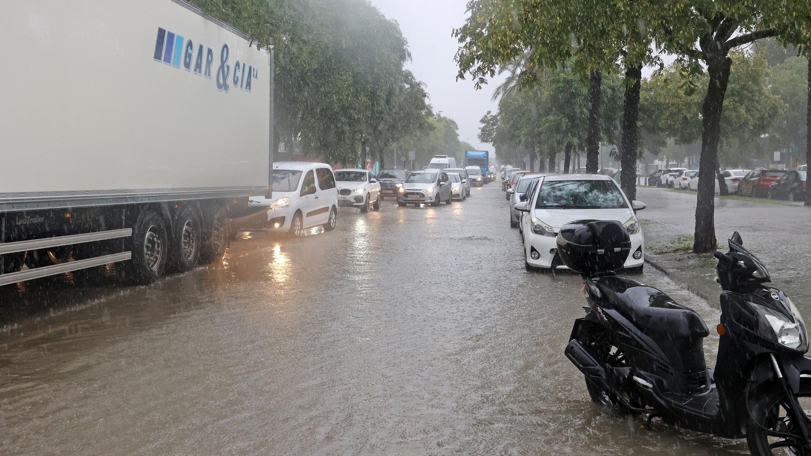 Imágenes del paso de la Dana, inundaciones, destrozos y caos por todo Jerez