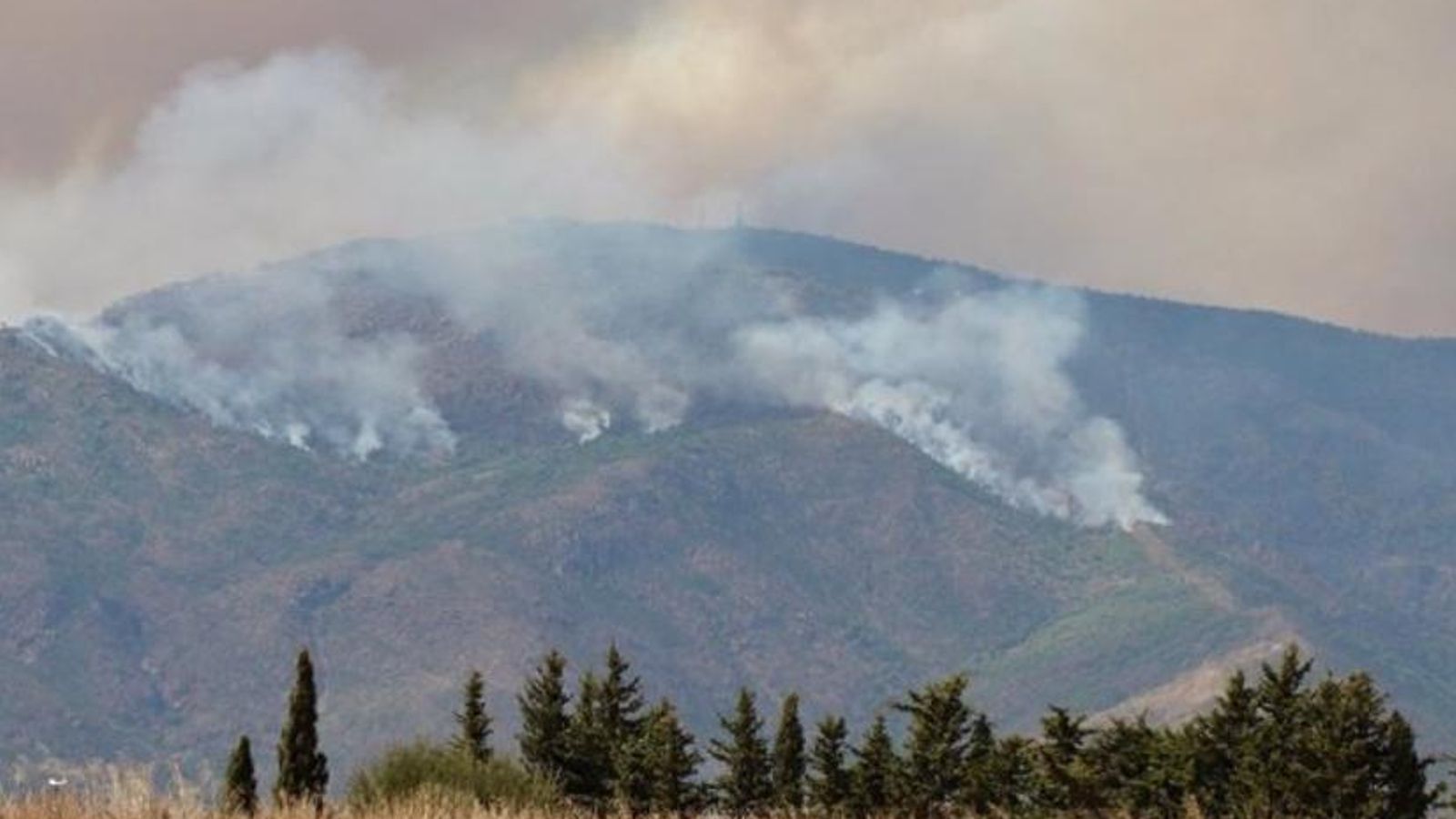 Una de las zonas afectadas por el fuego en Sierra Bermeja Una de las zonas afectadas por el fuego en Sierra Bermeja
