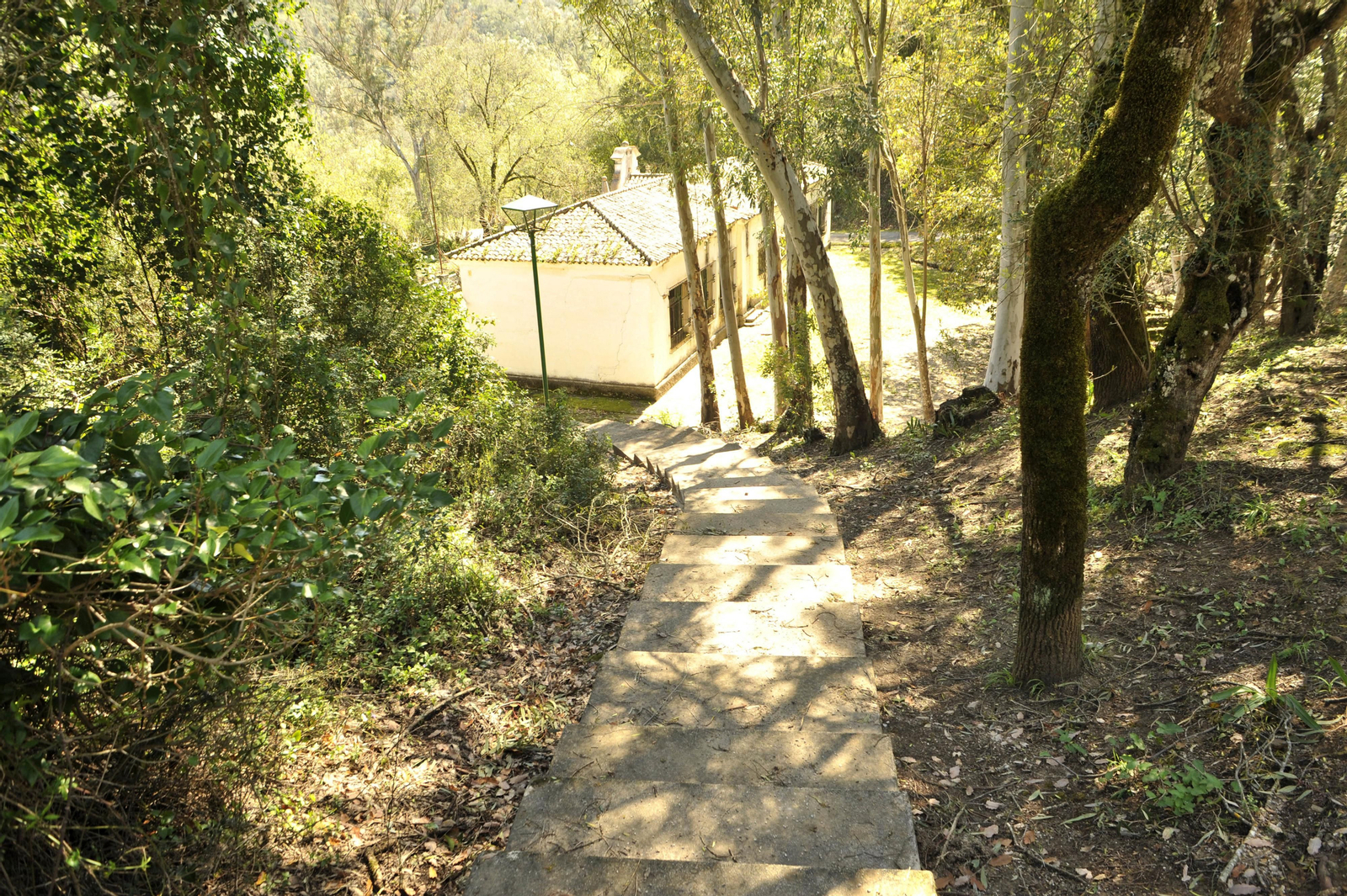 Un paseo por el poblado del pantano de Los Hurones