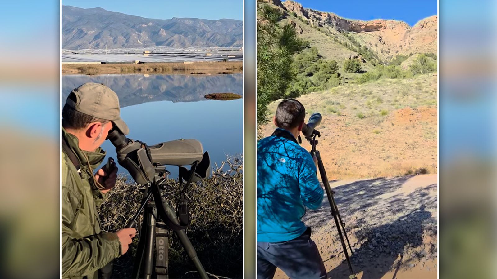 La Junta de Andalucía monitoriza el estado de conservación de la fauna silvestre