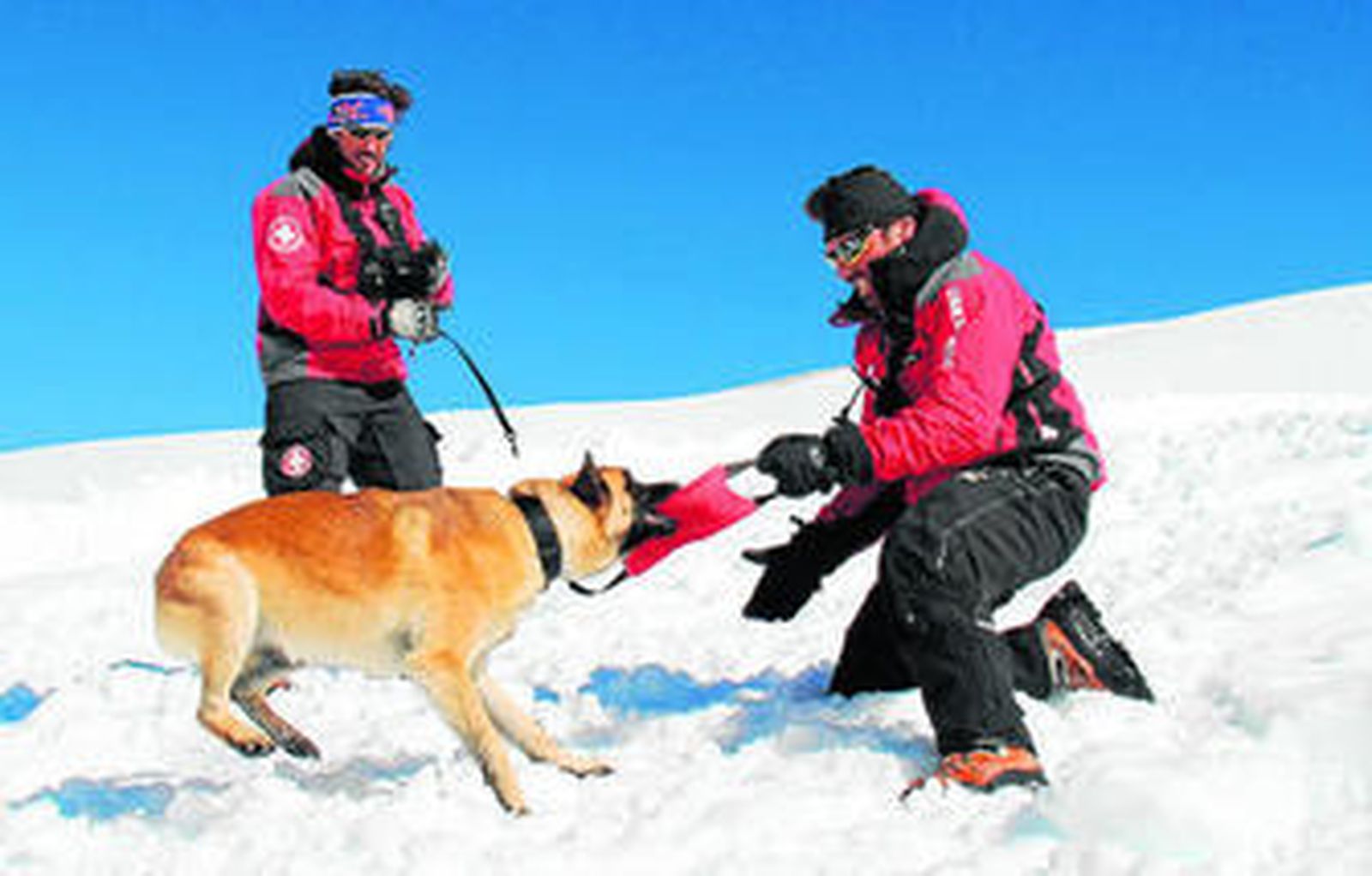 Los 'maestros' de Thor practican con el animal sobre la nieve en la estación invernal.