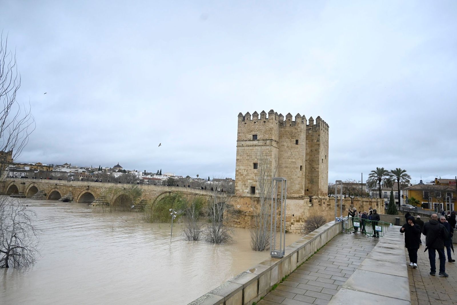 La impresionante crecida del río Guadalquivir: se acerca a los 6 metros a su paso por Córdoba