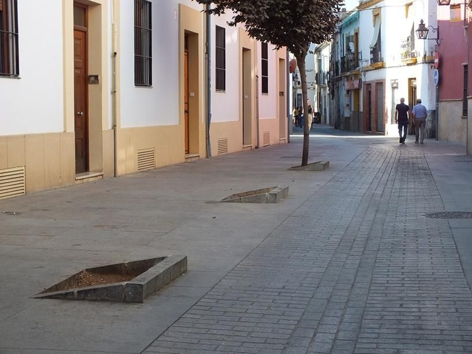 Alcorques vacíos de una calle de Córdoba.