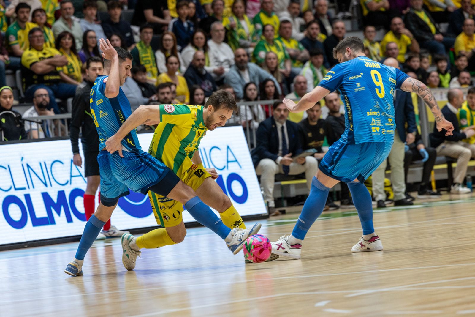 Las mejores imágenes del empate entre Jaén Paraíso Interior FS y Servigroup Peñíscola