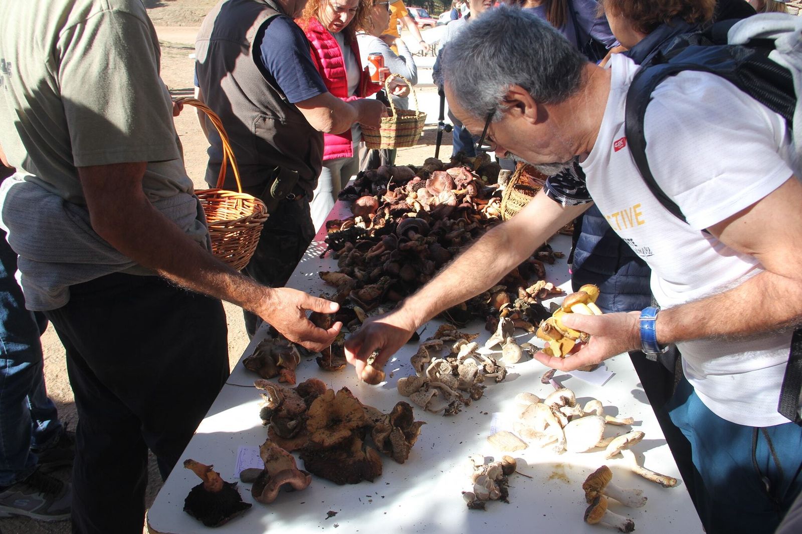 Participantes en las jornadas micológicas mostrando el 'botín' obtenido.