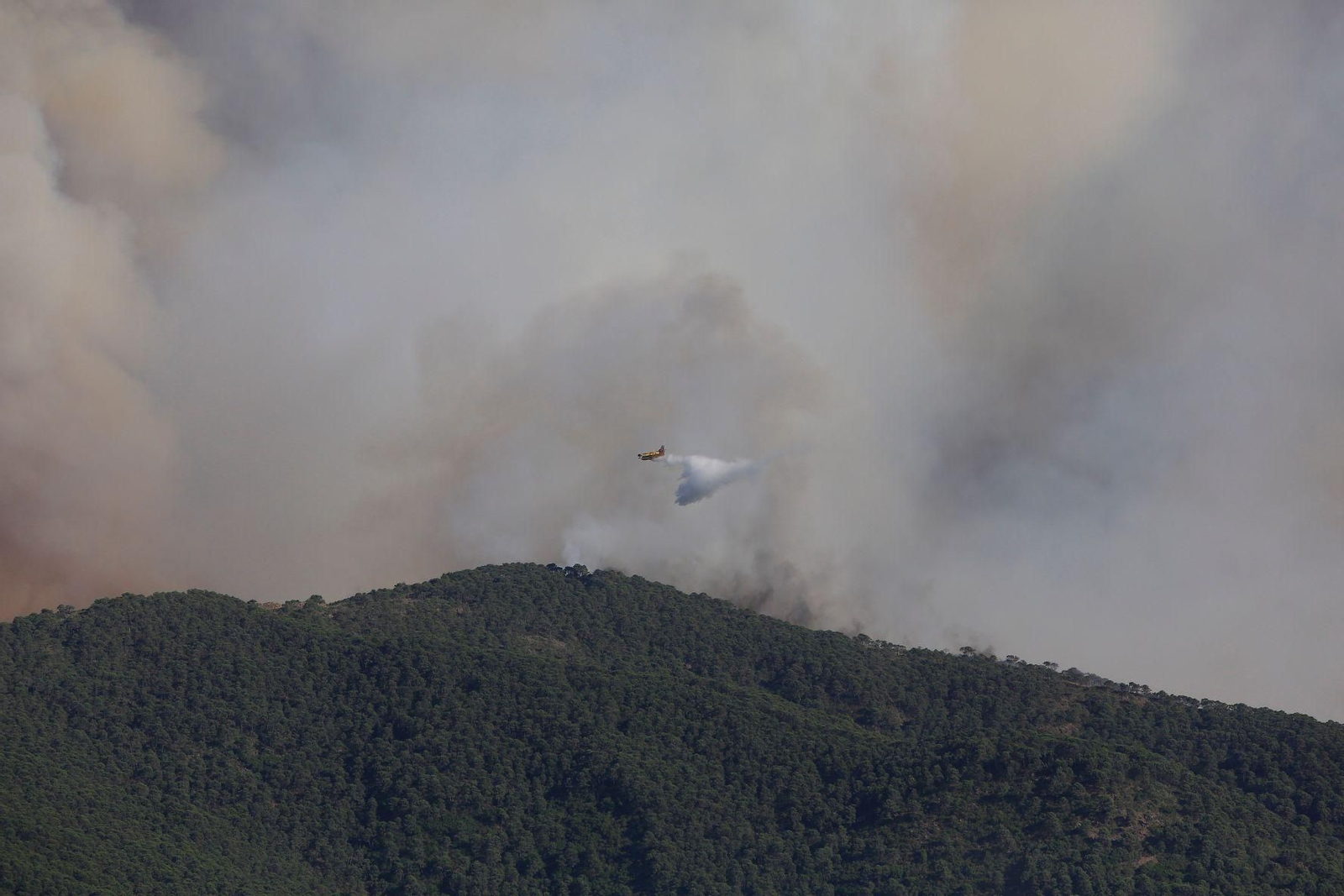 El incendio en Pujerra, en Málaga, en fotos