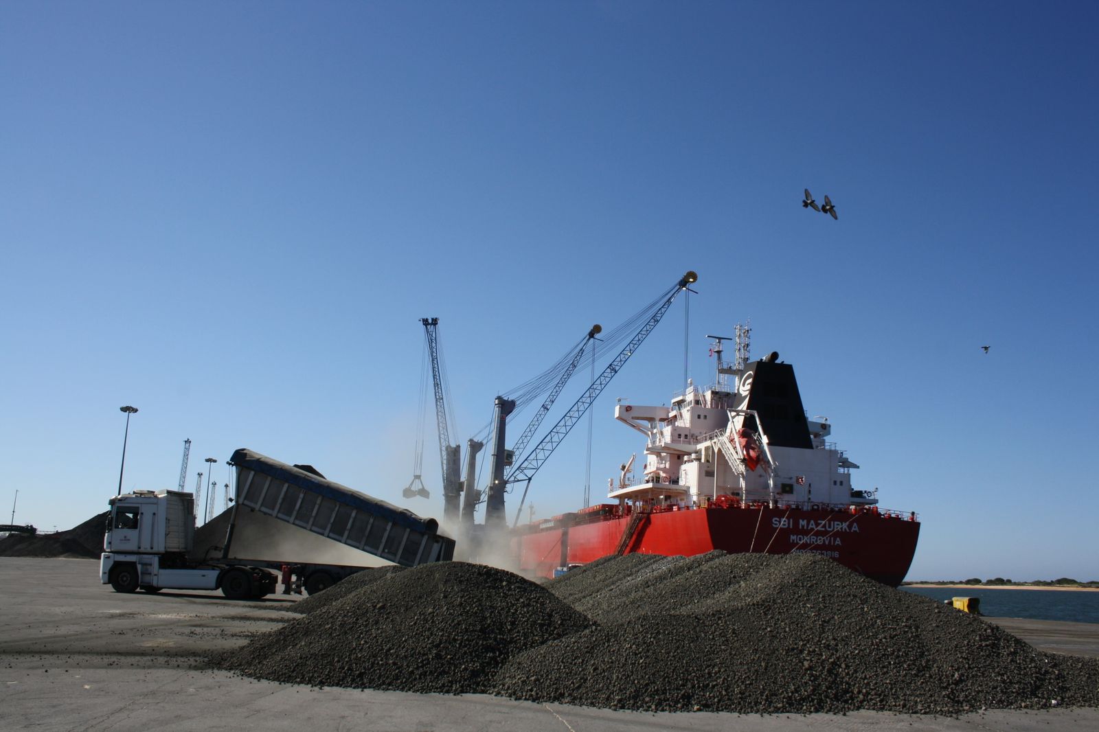 Imagen de la descarga de un buque en las instalaciones del Muelle Ingeniero Juan Gonzalo