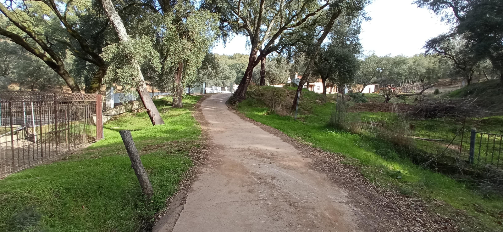 Las imágenes de la ruta de la Dehesa de Valdelama: De Los Marines a Fuenteheridos y vuelta