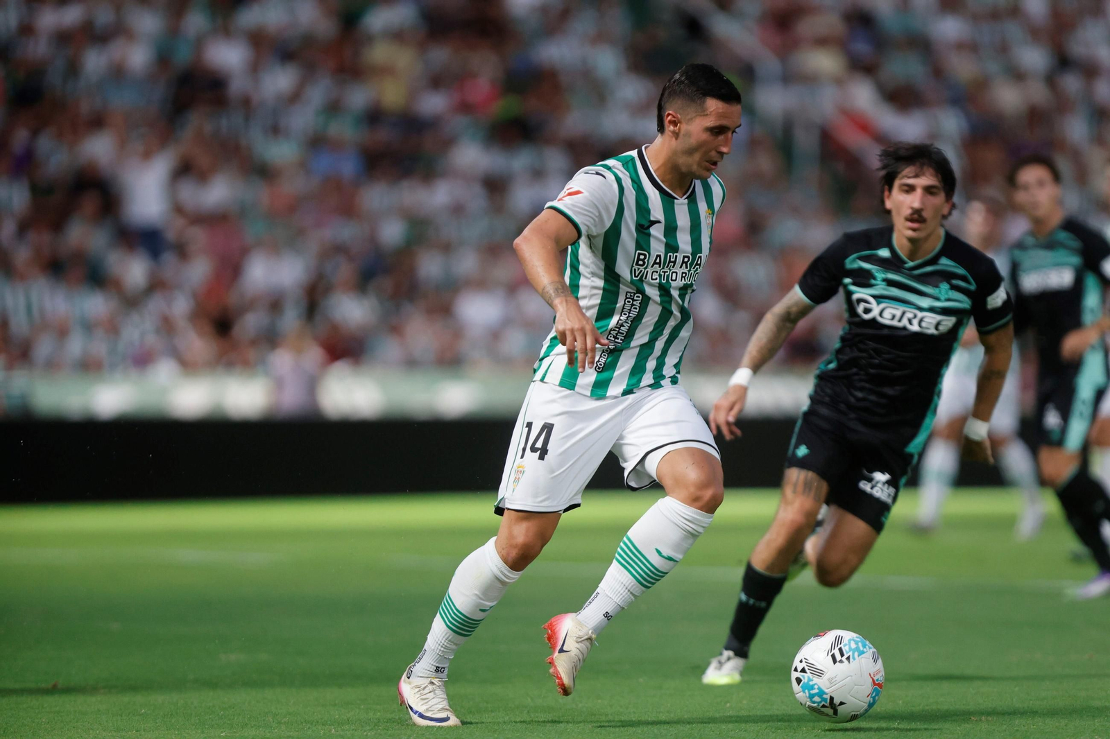 Las fotos del Córdoba - Betis