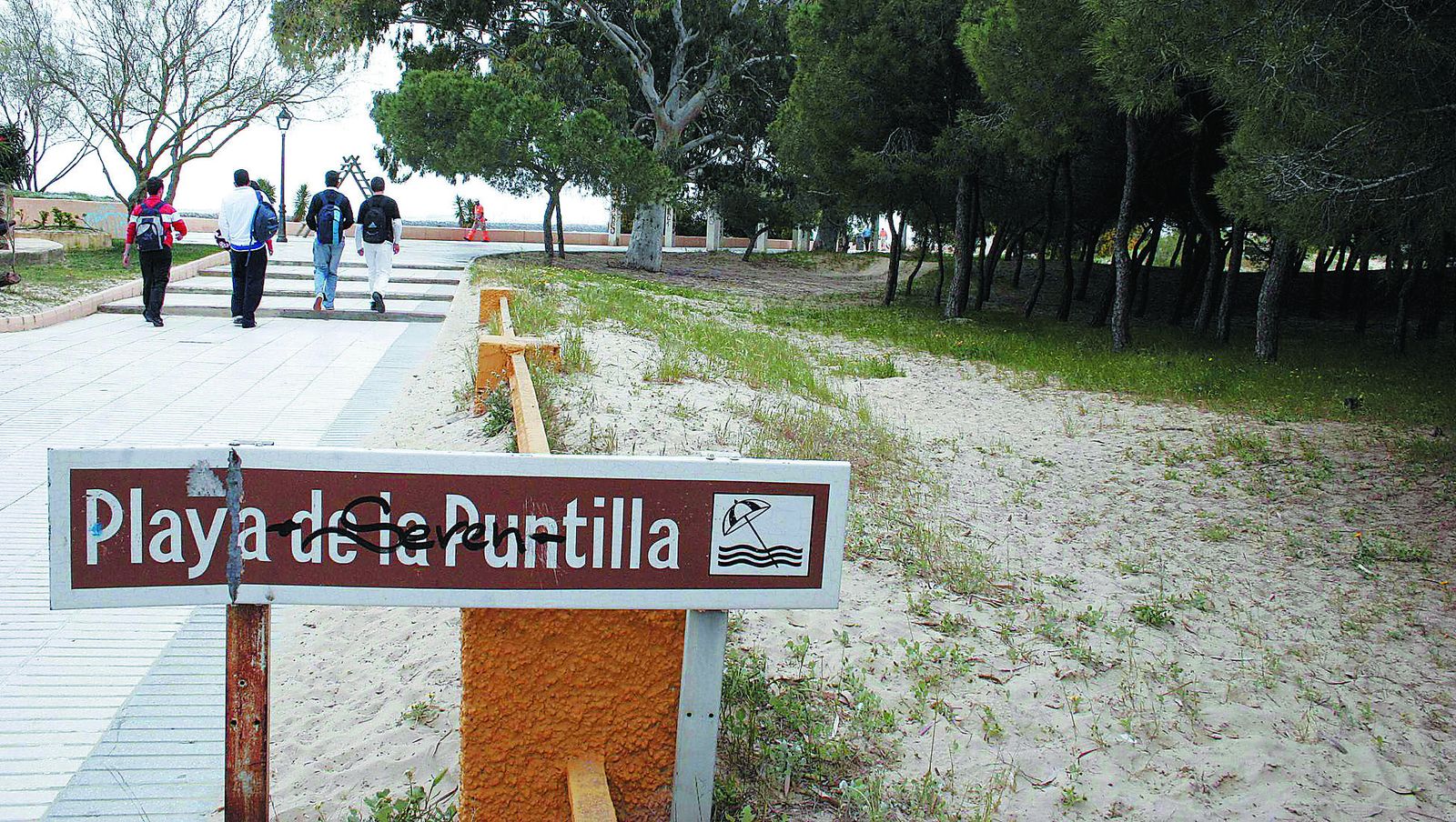 Una imagen de los pinares de La Puntilla donde aún reposan los archivos de Comisiones Obreras de Jerez desde el 23-F de 1981.